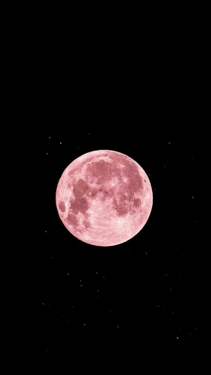 the full pink moon is seen in the night sky