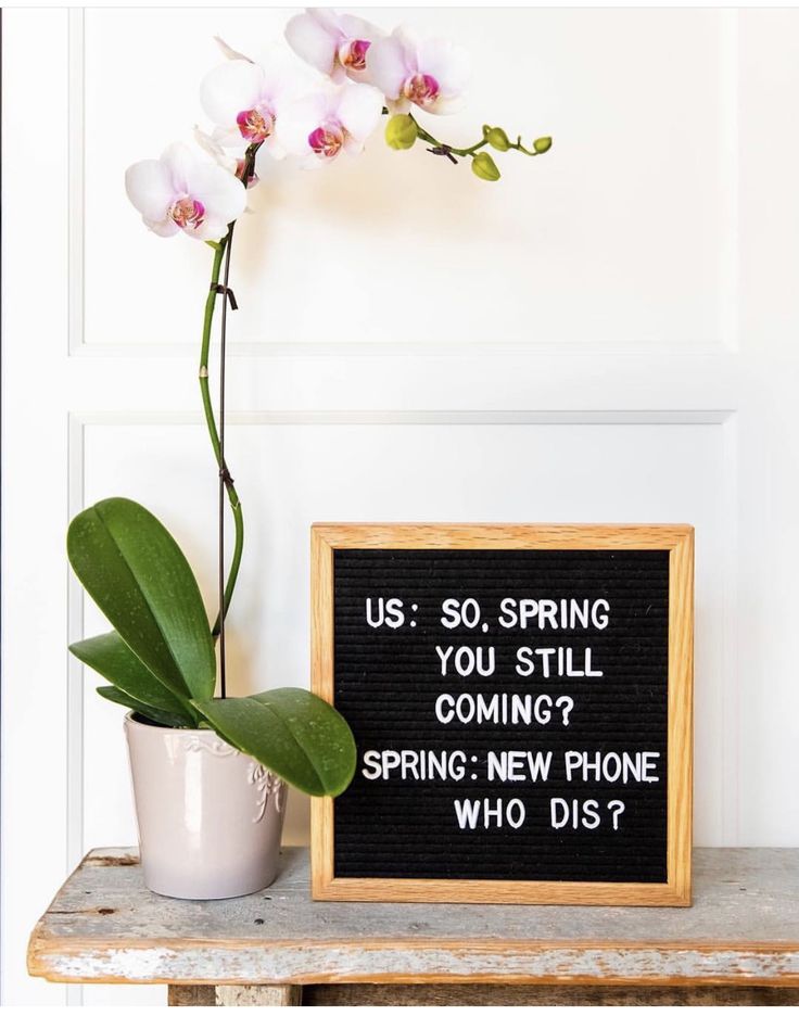 a sign that says us so, spring you still coming? spring new phone who dis?