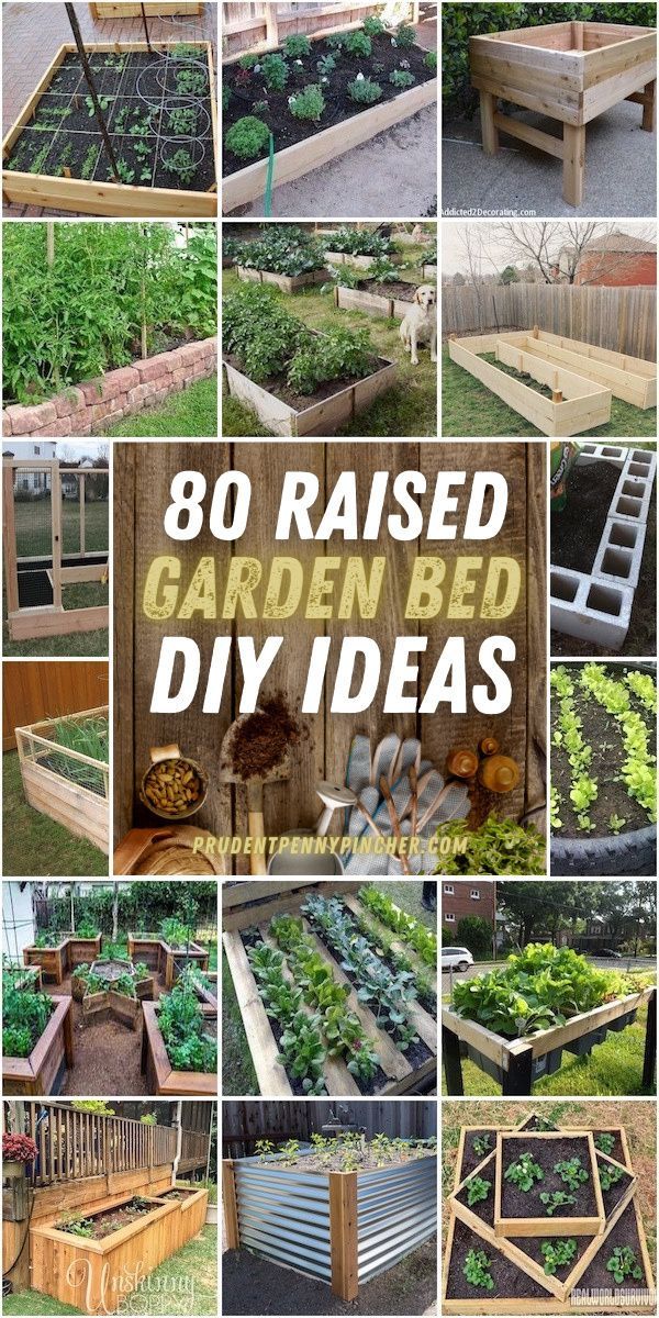 many different types of raised garden beds with text overlay that reads, 30 raised garden bed diy ideas