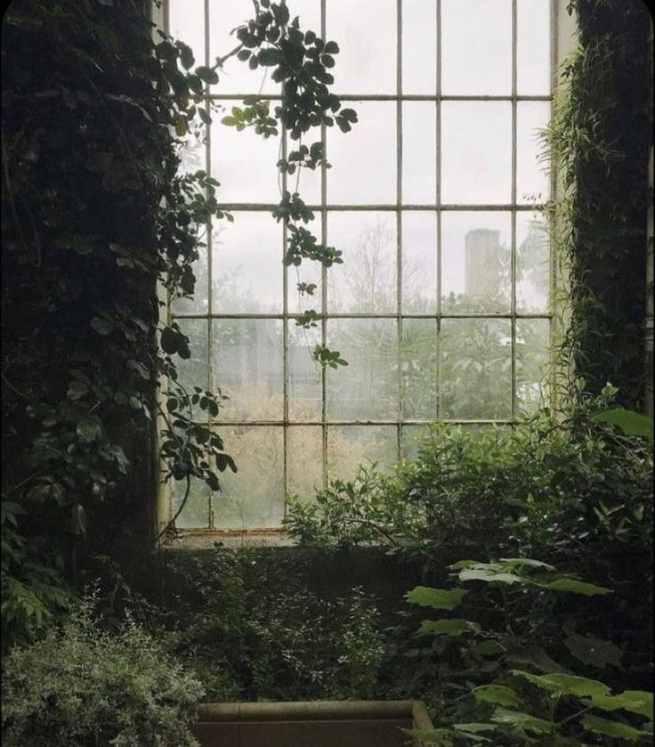 an open window with ivy growing on it