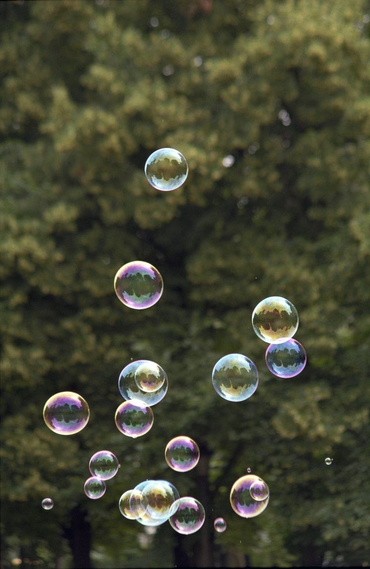 soap bubbles floating in the air near trees