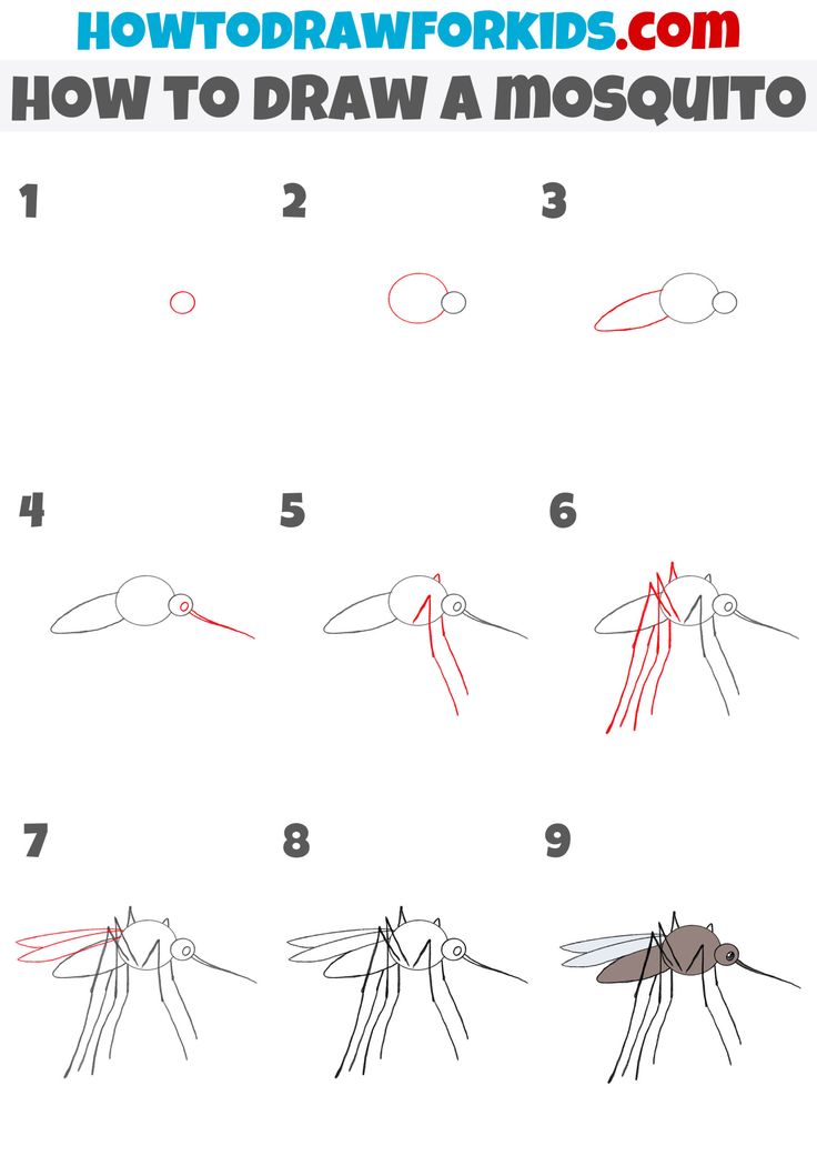 how to draw mosquito step by step instructions for kids and beginners in this video, you will learn how to draw a mosquito