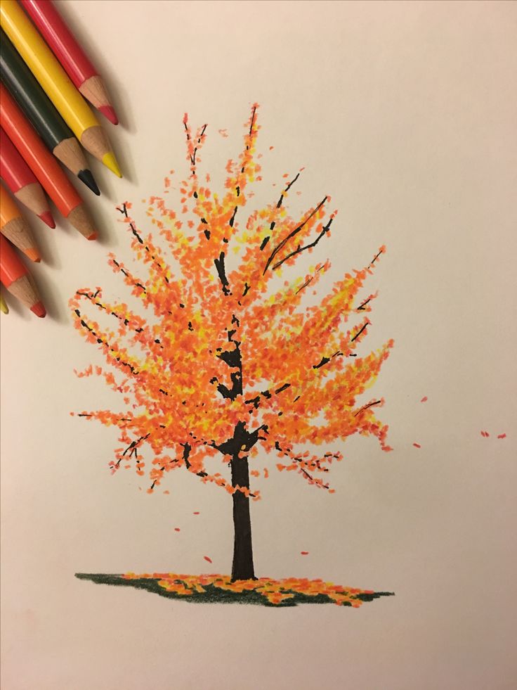 a drawing of a tree with orange leaves on it and colored pencils next to it