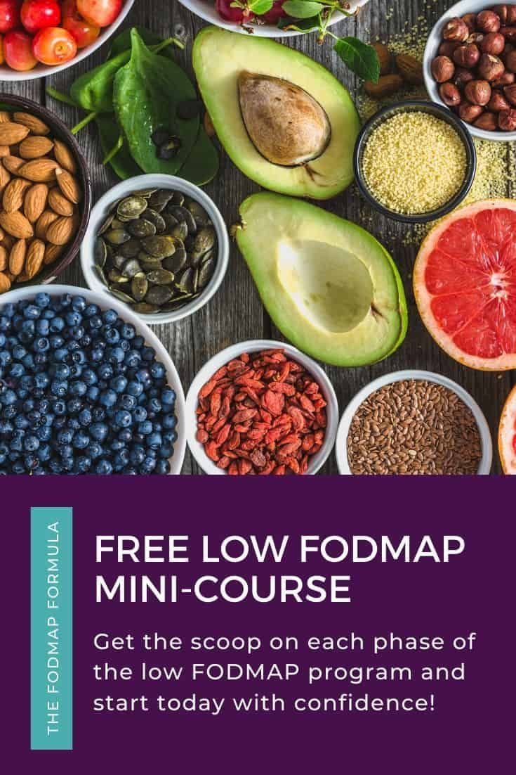 the free low fodmap mini - course is available for purchase