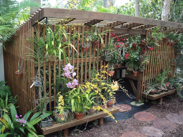 an outdoor garden area with various plants and flowers