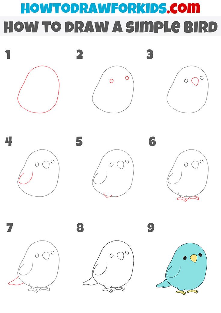 how to draw a simple bird step by step drawing for kids and adults with easy instructions