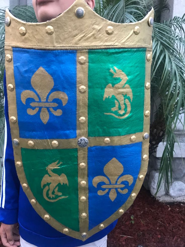 a young boy wearing a blue and green jacket with gold accents on it's chest