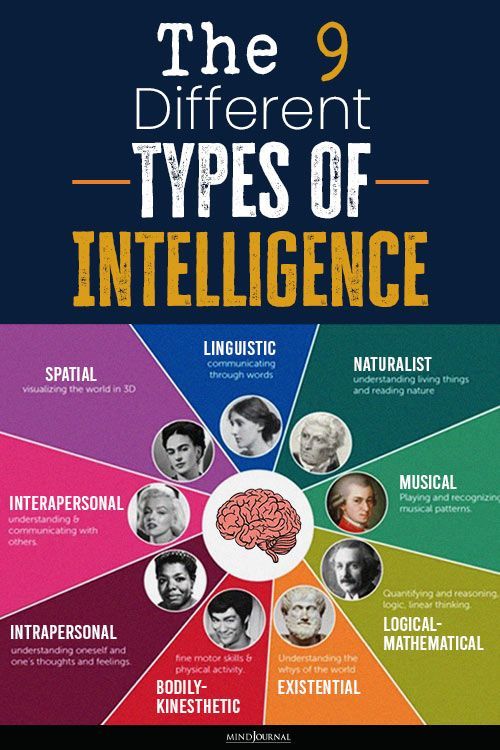 the 9 different types of intelligence