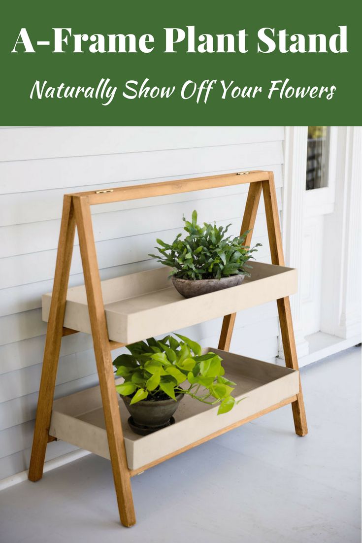 three tiered plant stand with two plants on each shelf