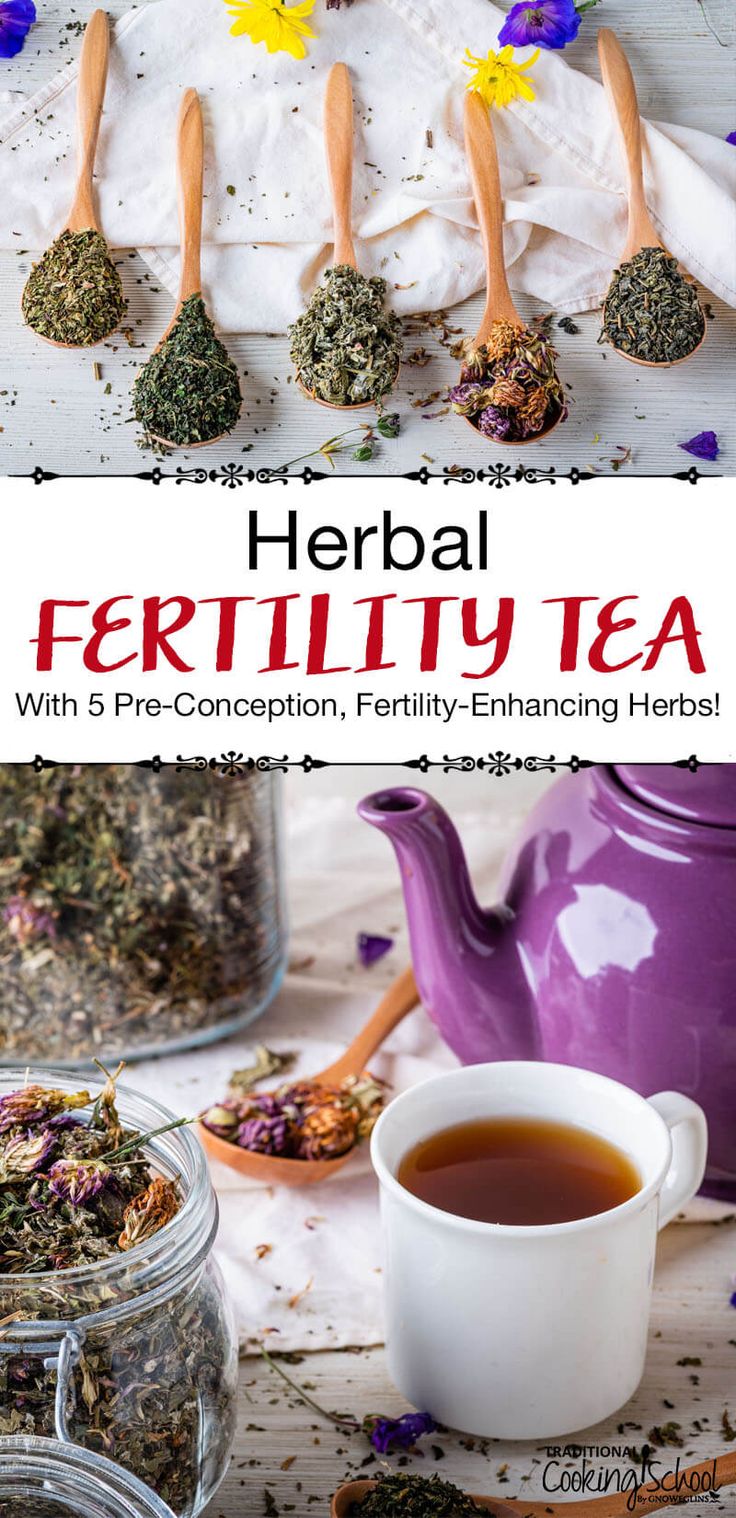 It's just as important to nourish your body prior to conception as it is during pregnancy, especially if you're trying to conceive or struggle with infertility. Nourish yourself with this homemade herbal fertility tea with 5 pre-conception, fertility-boosting herbs! #womenshealth #fertility #herbs #natural #pregnancy Fertility Herbs, Herbs For Fertility, Fertility Tea, Fertility Boosters, Nourish Yourself, Red Raspberry Leaf, Tonic Recipe, Fertility Health, Raspberry Tea