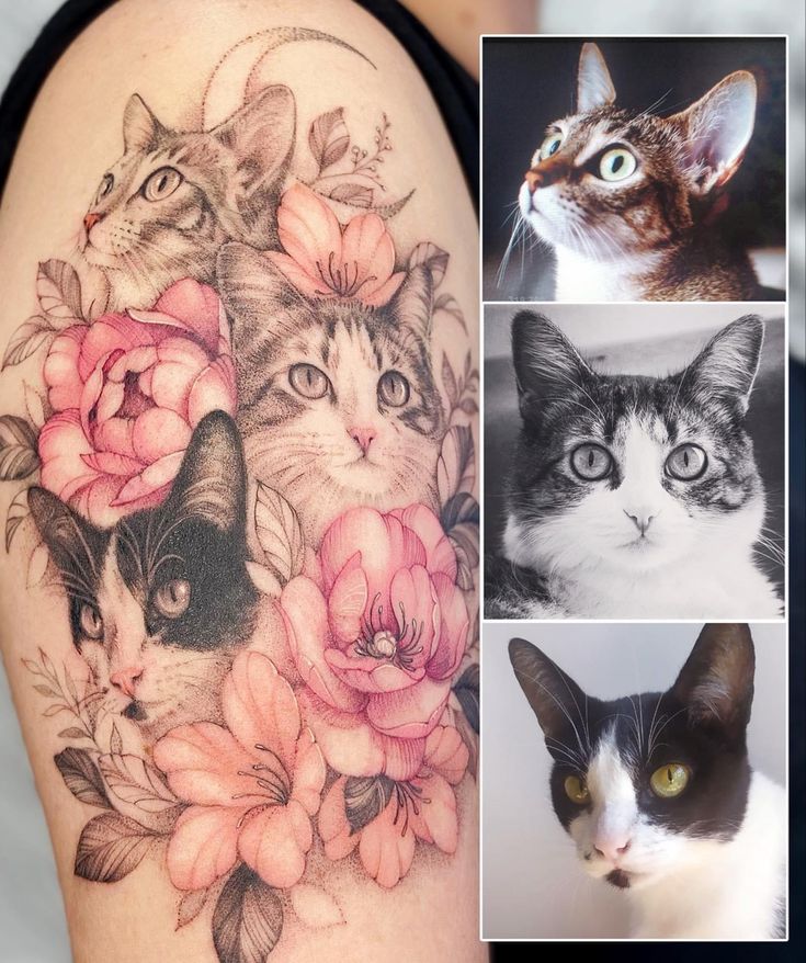 four different pictures of cats with flowers on their arm and behind them are photos of the same cat