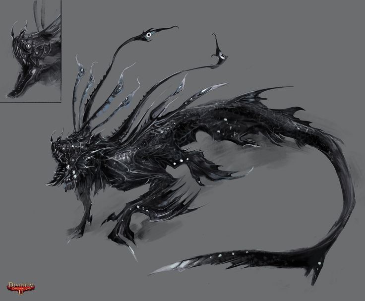 some sort of creature that is black and white with lots of details on its body