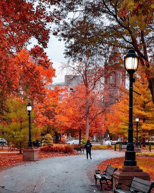 a person walking down a path in an autumn park