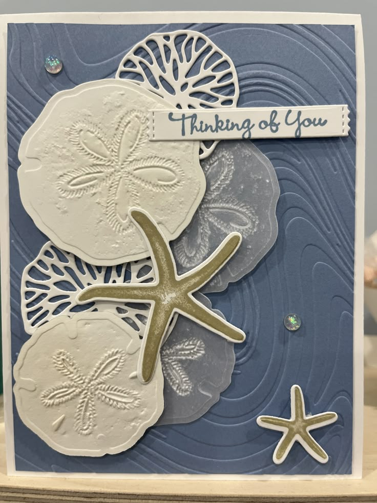 a card with sand dollars and starfish on it