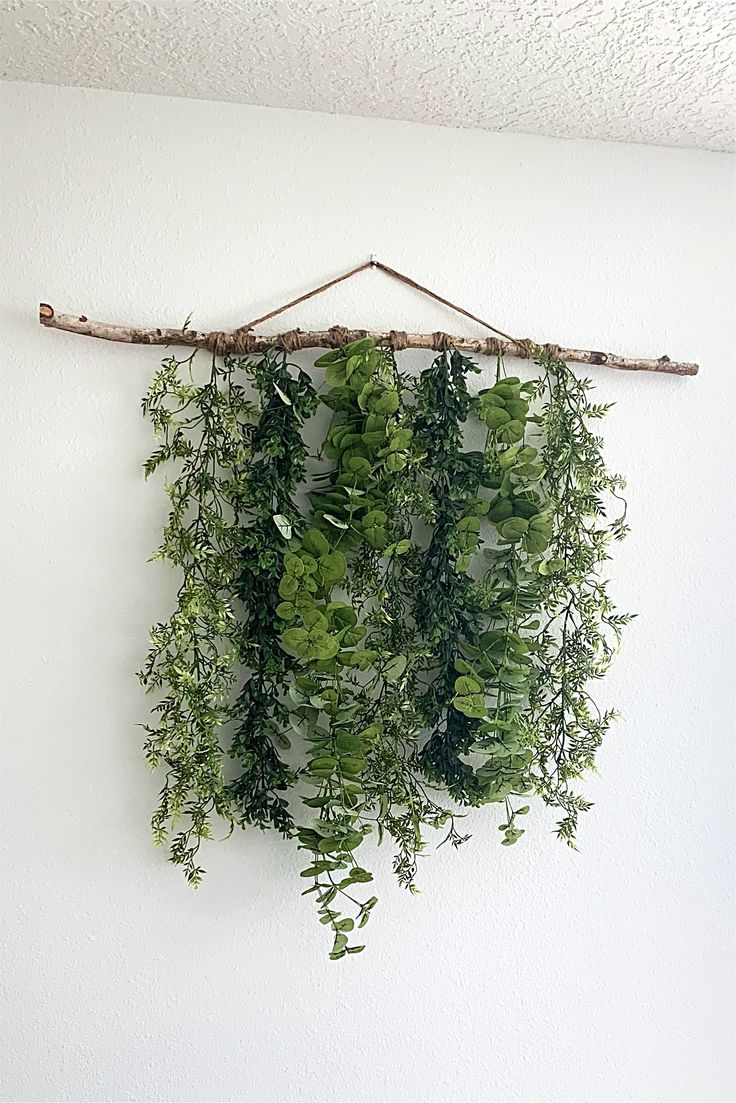 a green plant hanging on the wall