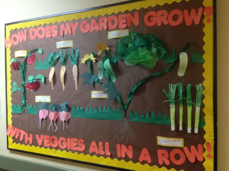 a bulletin board with veggies all in a row written on it and labeled how does my garden grow?