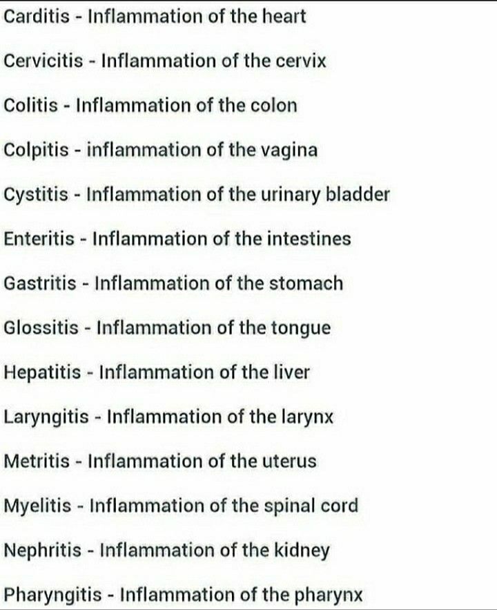 the names of different types of animals and their origins in each language, including an animal's name