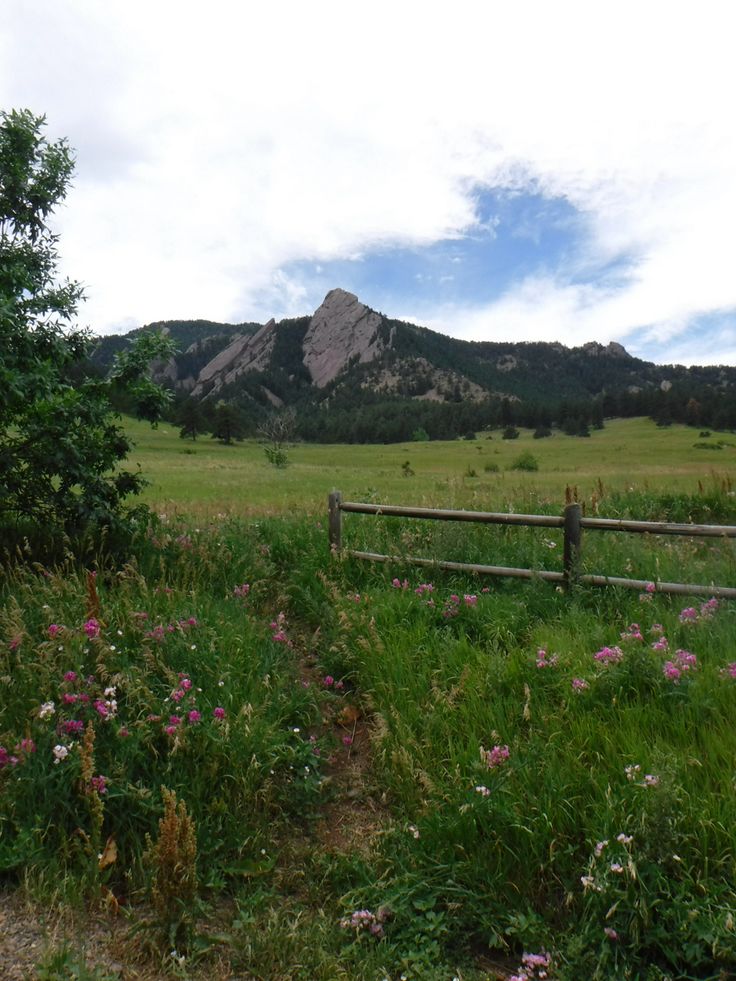 an open field with flowers and mountains in the backgroung, on a cloudy day