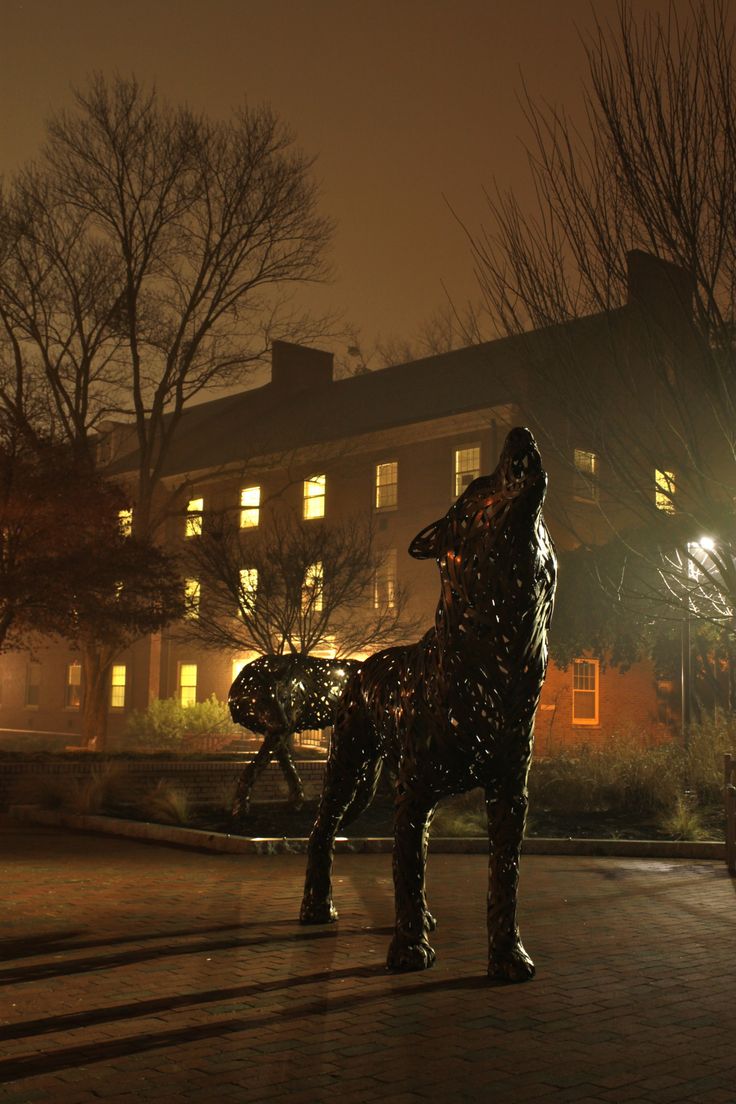 a statue of a dog in front of a building at night with lights shining on it