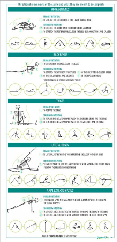 the instructions for how to use an exercise machine in your home or office, including exercises and