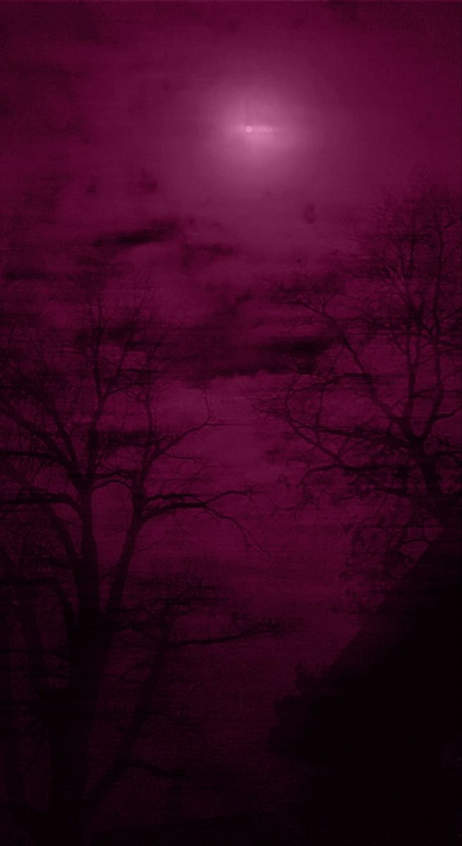 the sky is very dark and pink with some trees in it