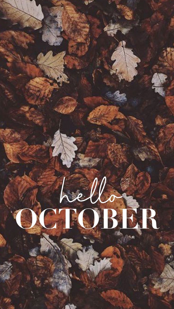 the words hello october are surrounded by leaves and fallen on the ground in white lettering