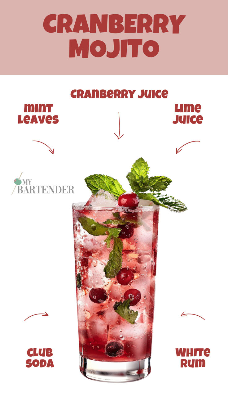 Cranberry Mojito Cocktail Recipes With Cranberry Juice, Christmas Mojito Vodka, Holiday Mojito Recipe, Cranberry Mojito Recipe, White Christmas Mojitos, Rum And Cranberry Juice Drink Recipes, Mojito Flavors, White Rum Cocktails, Cranberry Mojito