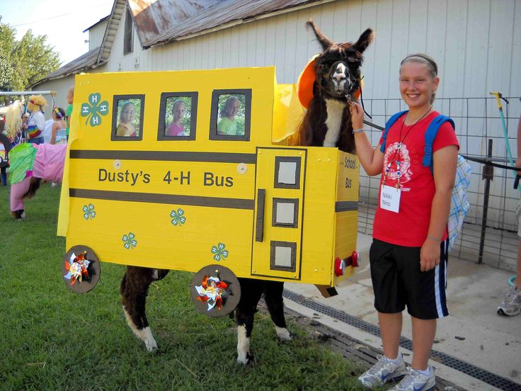 a woman standing next to a horse wearing a bus costume