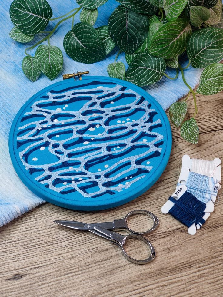 a pair of scissors sitting on top of a wooden table next to a blue plate