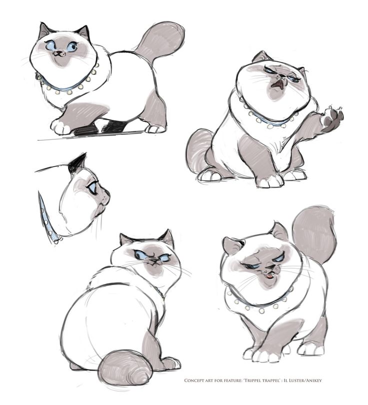 some cartoon cats with different expressions on their faces and body, one cat is looking up at the camera