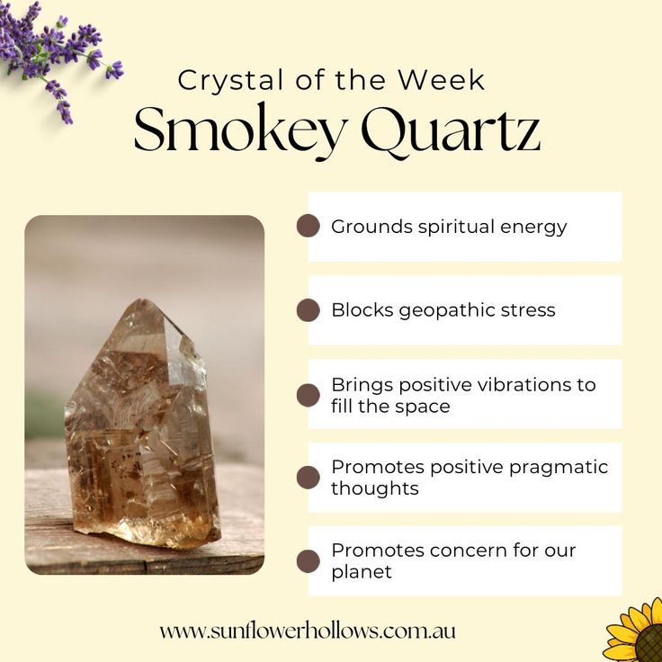 The crystal of the week is 🥁 SMOKEY QUARTZ 🌻 Smokey Quartz is said to 🌻 Have a strong link to the Earth 🌻 Promote concern for the Earth 🌻 Ground spiritual energy 🌻 Block geopathic stress 🌻 Absorb electromagnetic smog 🌻 Bring positive vibrations to fill the space 🌻 Teach you to leave behind what doesn’t serve you 🌻 Promote positive pragmatic thoughts Among other things. Smokey Quartz is associated with the base chakra. Follow the link in our bio to find these on sunflowerhollows.com.au ... Smokey Quartz Crystal Meaning, Quartz Crystal Meaning, Crystal Magick, Earthing Grounding, Healing Journaling, Base Chakra, Energy Blocks, Positive Vibrations, Smoky Quartz Crystal