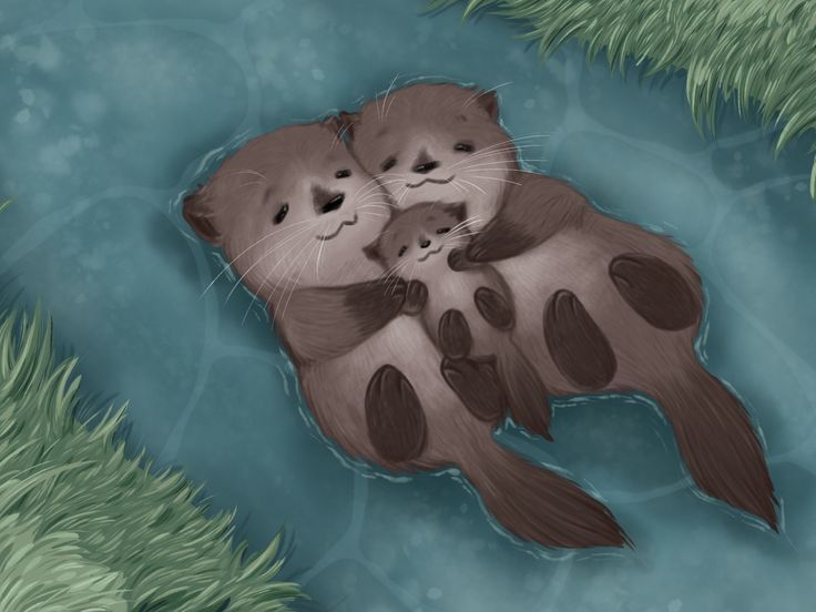 two otters cuddle together in the water with their paws on each other's chest