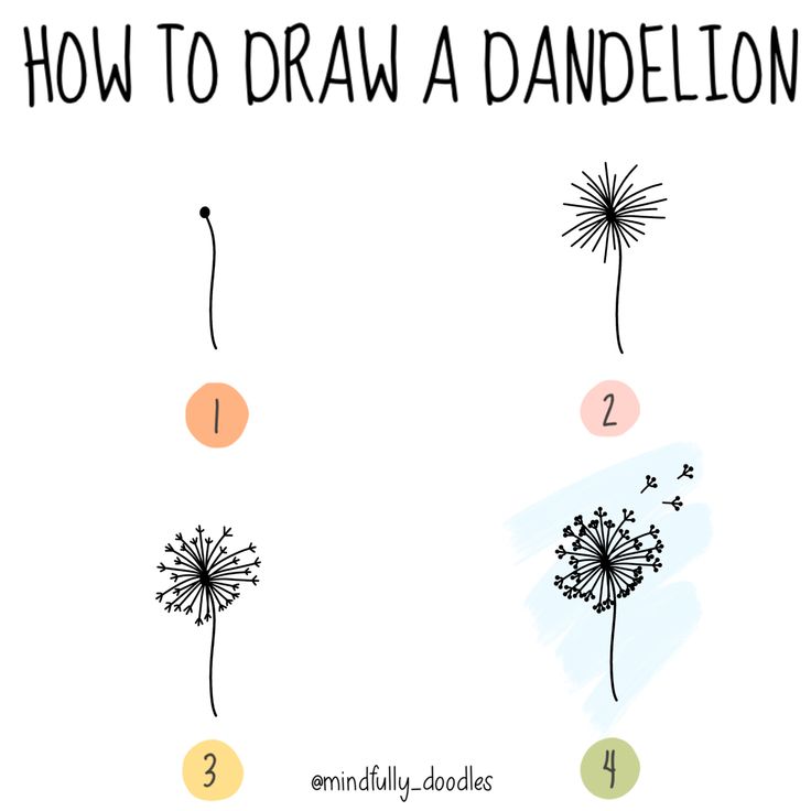 how to draw a dandelion