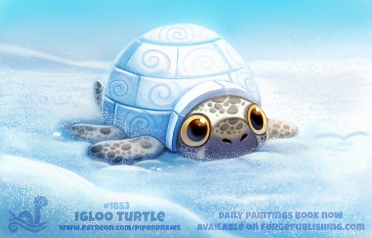 an image of a turtle in the snow