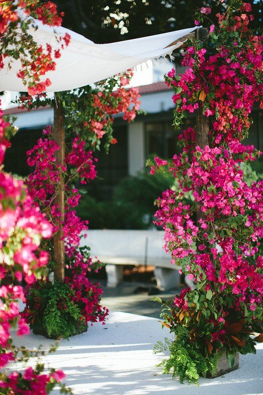 pink and red flowers are growing on the side of a white tented area with benches in the background