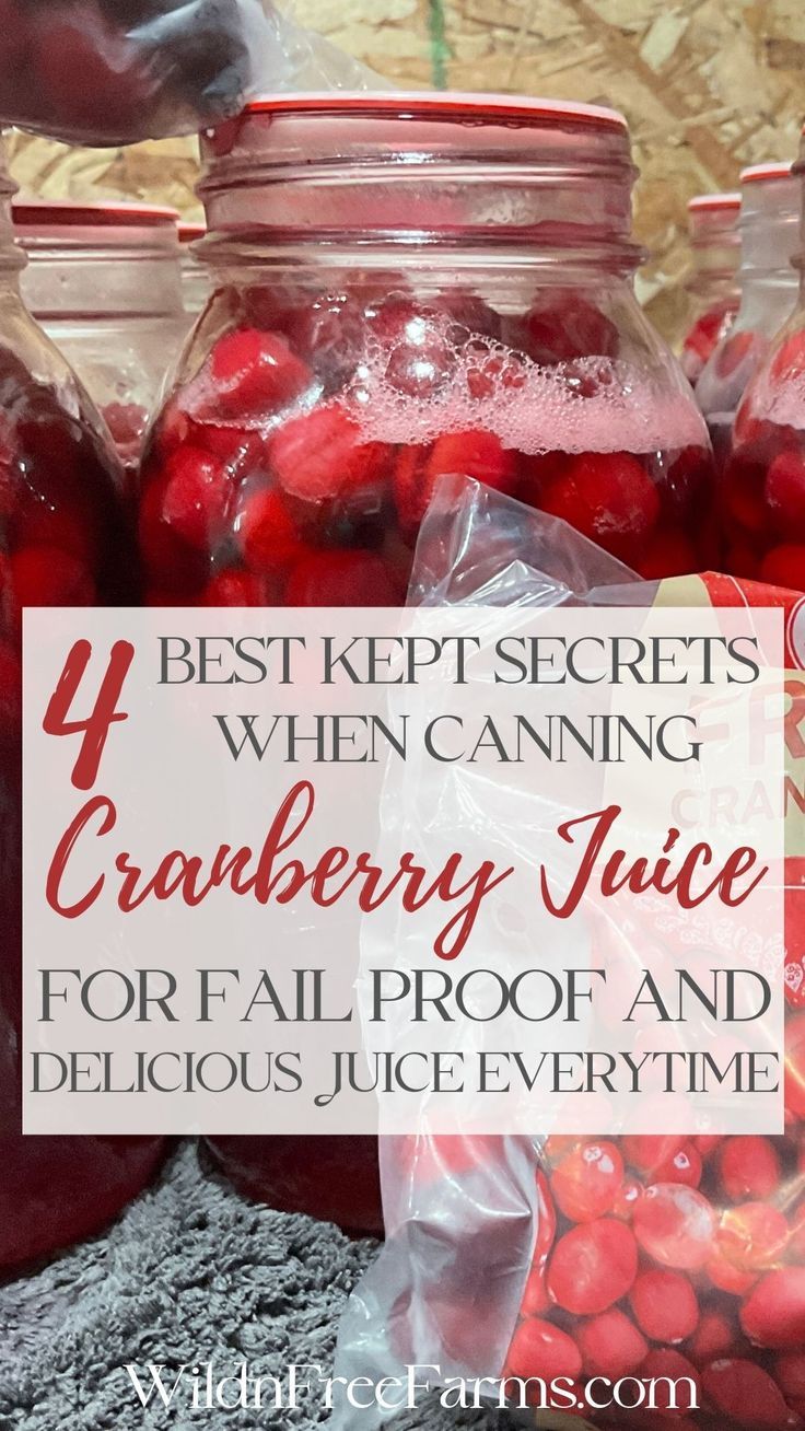 canning homemade cranberry juice Canned Cranberry Juice, Homemade Cranberry Juice, Canned Cranberries, Homemade Holiday Gifts, Canning Food Preservation, Canning Tips, Homemade Juice, Juicy Juice, Cranberry Recipes