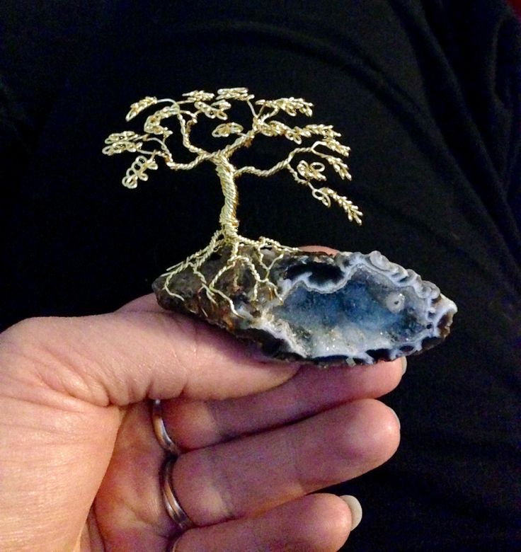 a person holding a rock with a tree on it