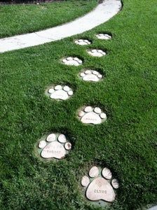 the dog's paw prints are on the grass in front of a stone path