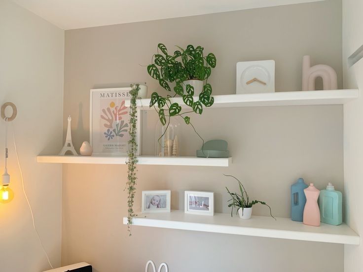 some shelves with plants and pictures on them