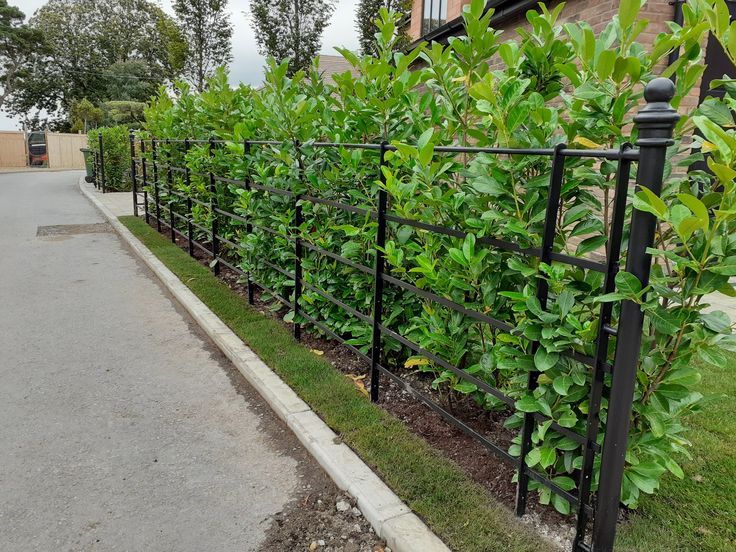 a black iron fence is lined with green plants on the side of the road in front of a brick building