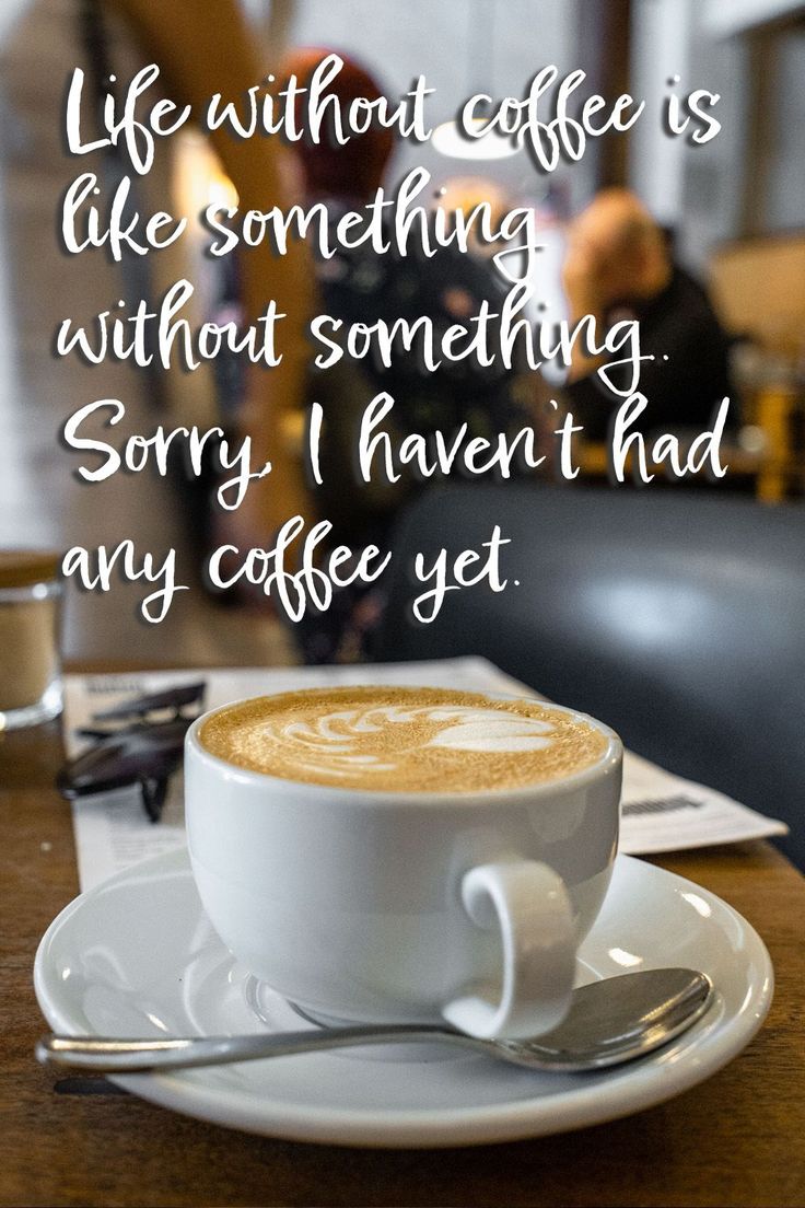 Are you looking for funnyinspiringand good morning coffee quotesYou will get a large number of ideas to read with your morning cup. Good Morning Coffee Quotes, Morning Coffee Quotes, Inspirational Coffee Quotes, Morning With Coffee, Saturday Coffee, Coffee Quotes Morning, Quotes Morning, Sunday Coffee, Coffee Quotes Funny