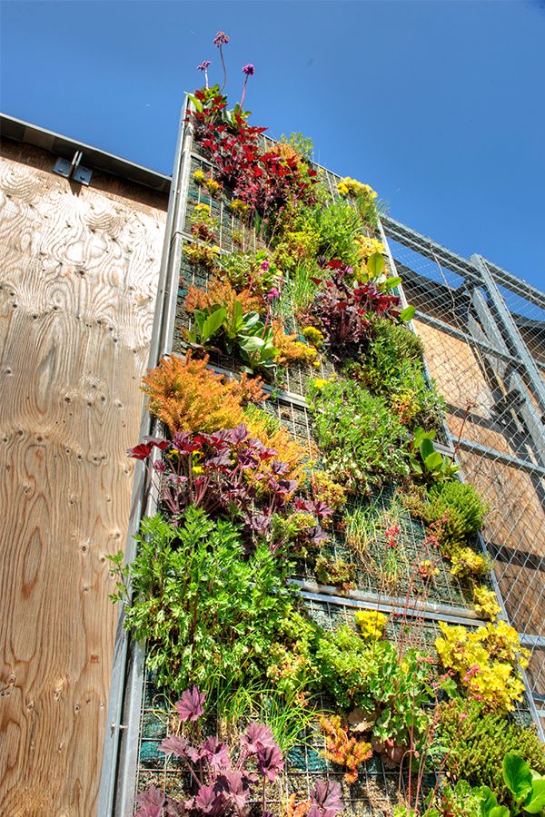 a vertical garden on the side of a building