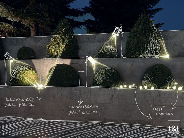 an outdoor area with lights and plants on the wall