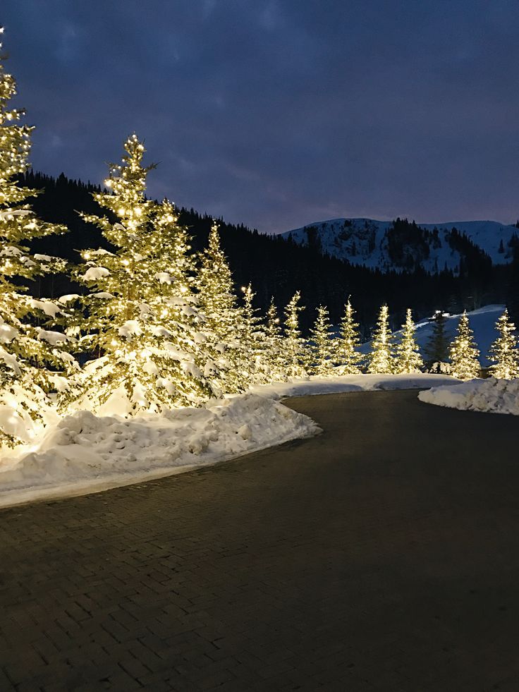 the road is covered in snow and lit up with christmas lights at night, surrounded by pine trees