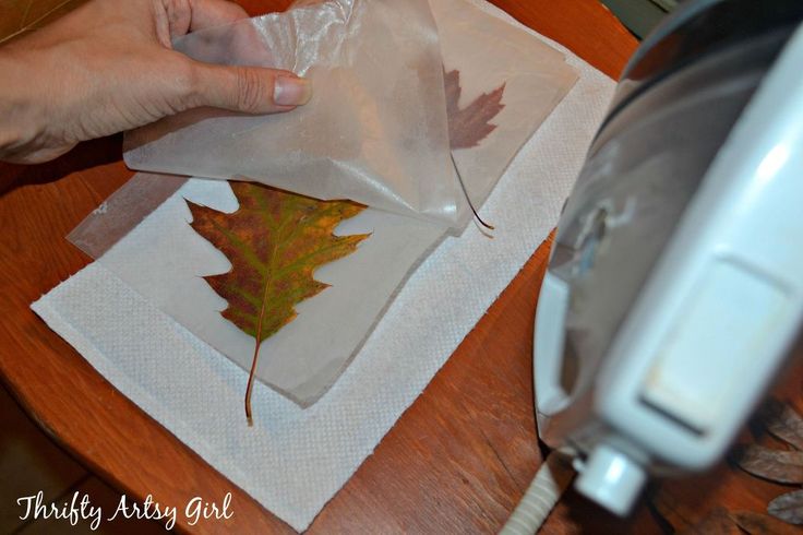 a person holding a leaf on top of a piece of paper next to a toaster