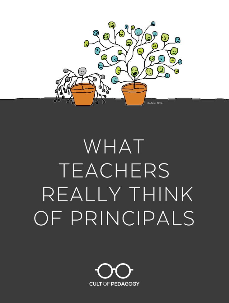 two potted plants with the words what teachers really think of principals