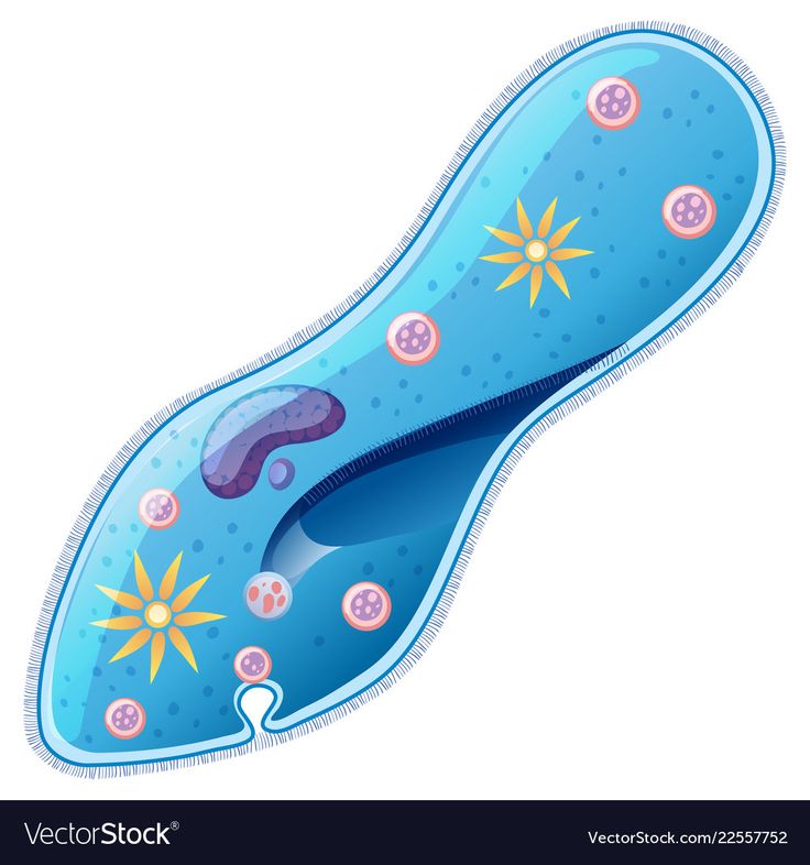 an illustration of the inside of a blue cell phone with buttons and sunbursts