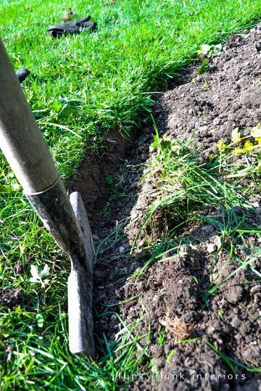 an image of a garden that is being worked on by someone in the grass and dirt