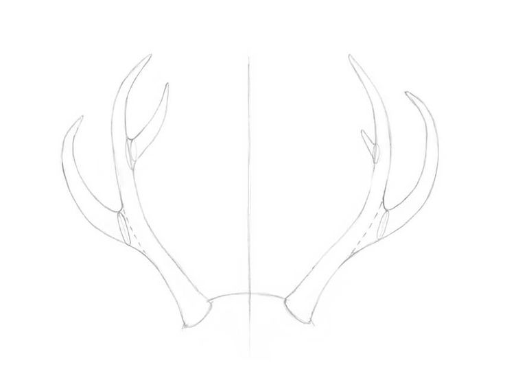 how to draw deer antlers for beginners