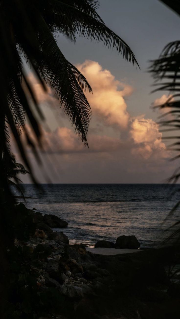 the sun is setting over the ocean with palm trees